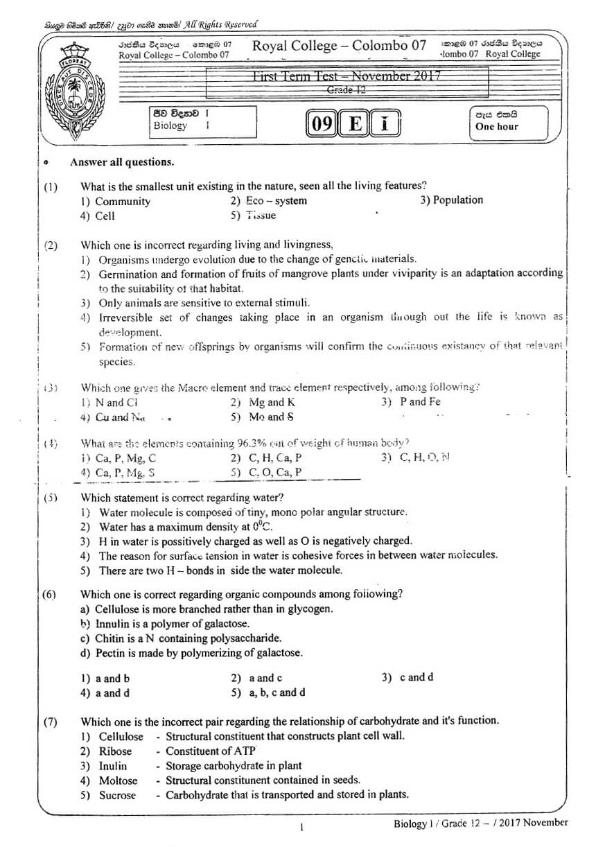 term papers pdf