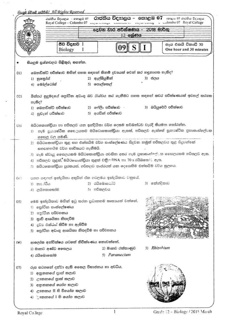 Biology Grade 12 2nd Term Test Papers (Sinhala Medium) | School Paper Bank